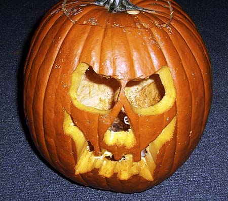 Pumpkin gallery - 12